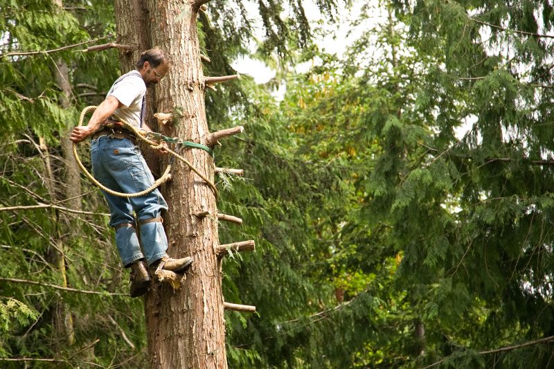Control tree size to prevent it from becoming too large or unruly